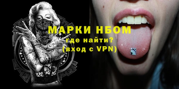 сатива Новодвинск