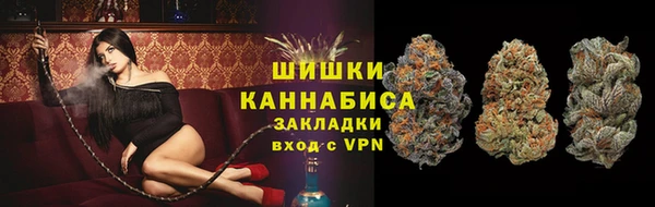 сатива Новодвинск