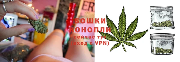 сатива Новодвинск