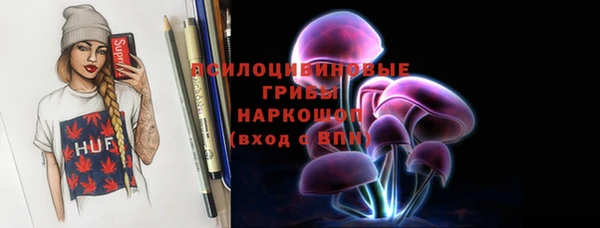 сатива Новодвинск