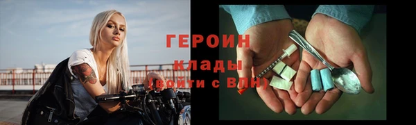 сатива Новодвинск