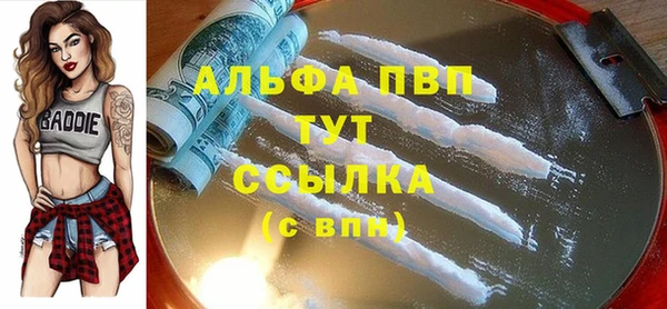 2c-b Новозыбков