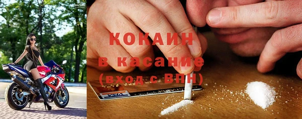 сатива Новодвинск