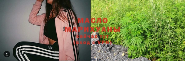 2c-b Новозыбков