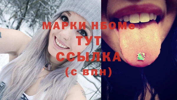 2c-b Новозыбков