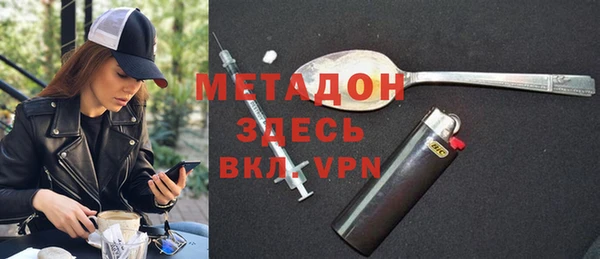 сатива Новодвинск
