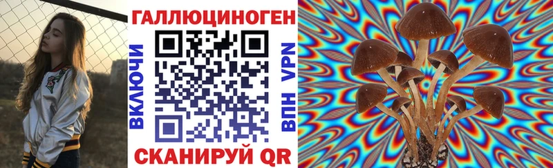 Псилоцибиновые грибы MAGIC MUSHROOMS  закладка  Долгопрудный 