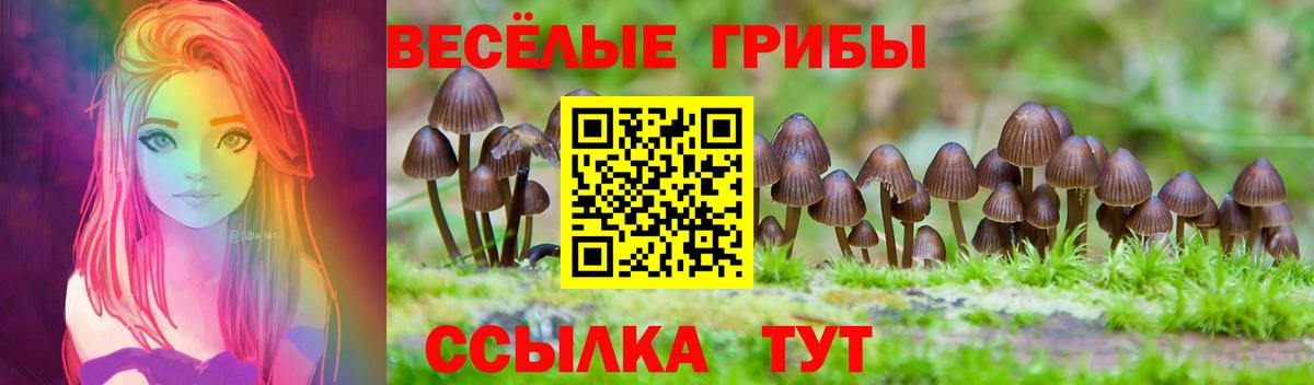 Псилоцибиновые грибы Psilocybe  Вход с VPN  Долгопрудный  Псилоцибиновые грибы MAGIC MUSHROOMS 