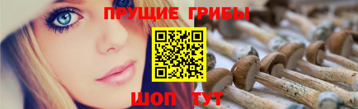 Псилоцибиновые грибы Psilocybe Долгопрудный